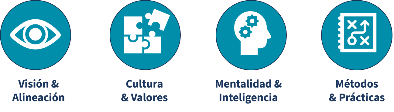 Four Areas of Impact