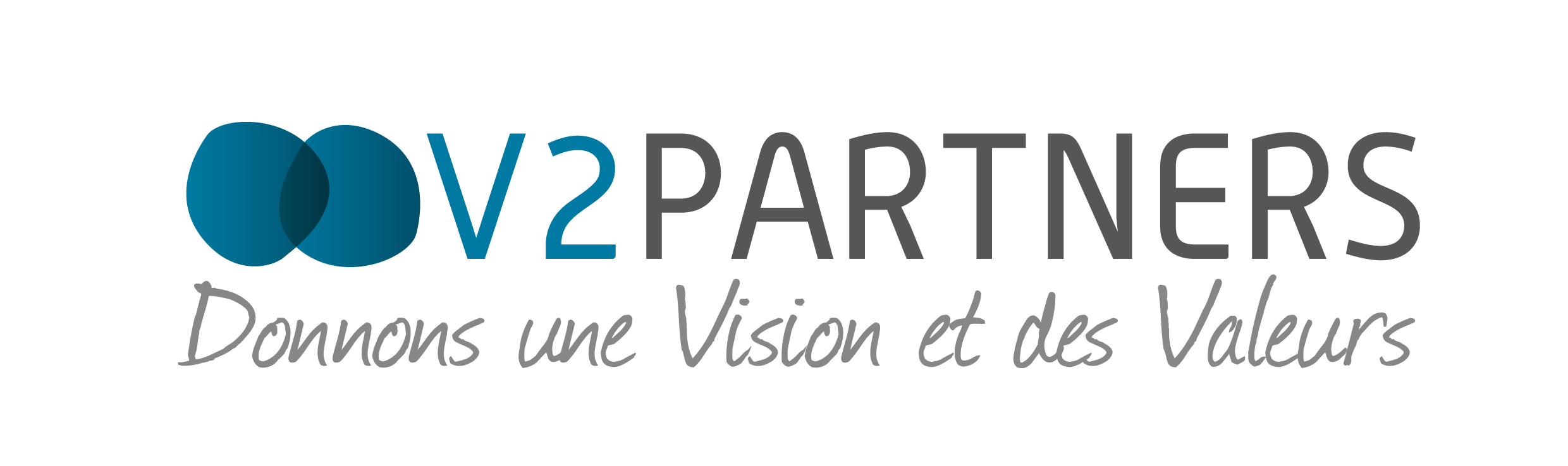 V2 Partners